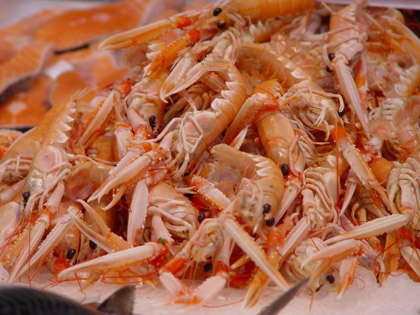 Shrimps_at_market_in_Valencia